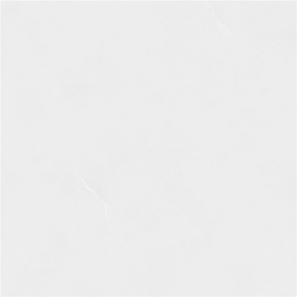 SS8JF10A���ƹ�-1.jpg